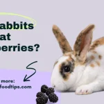 Can rabbits eat blackberries?
