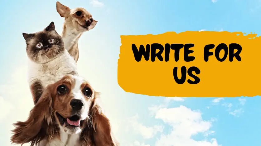 Write for us
