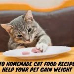 10 Homemade Cat Food Recipes to Help Your Pet Gain Weight
